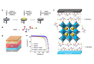 武汉大学Nature: 一体式掺杂策略，高效全钙钛矿叠层太阳能电池