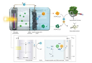 Nat. Commun.: Hydrogen production using perovskite photocathode and lignocellulosic biomass