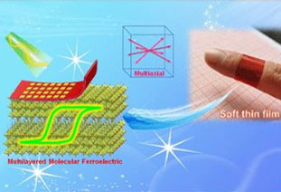 JACS: Soft multiaxial molecular ferroelectric thin films with self-powered broadband photodetection