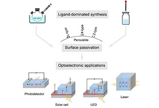 Small review: Role of ligands in lead-based perovskite nanocrystals—from synthesis to optoelectronic applications