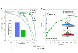 Revealing perovskite ion migration-stability-hysteresis relationship