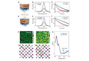 The lead chelating hole transport layer is used for efficient and stable perovskite components