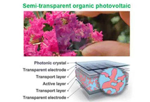 Semi-transparent organic photovoltaics
