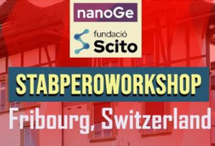 STABLE HYBRID PEROVSKITE WORKSHOP - NANOGE 2023 #STABPEROWORKSHOP