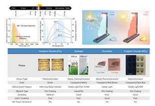 AM Review: Perovskite Smart Windows