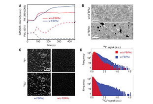 31.25% Efficiency! Perovskite Breakthrough Reported in Science