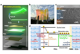 AM: Perovskite quantum dot/polymer cholesteric liquid crystal circularly polarized laser