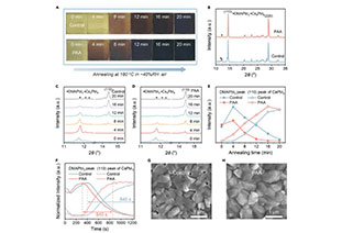 Hu Jinsong Joule: In-depth interpretation! Air preparation, record efficiency CsPbI3 perovskite cell