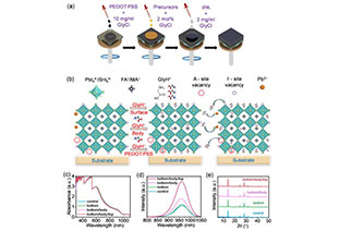 In-depth interpretation! Bottom-up modification improves performance of narrow-bandgap lead-tin perovskite single-junction and tandem solar cells