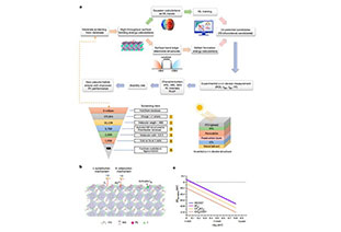 Anion optimization for bifunctional surfacepassivation in perovskite solar cells