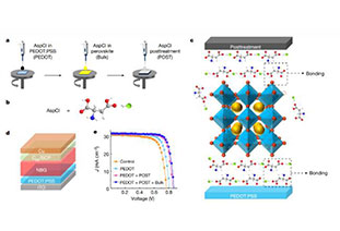 【NATURE】Three-party certification of 27.34%, one of the world’s highest efficiencies for full perovskite stacked cells at both ends