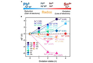 Review of David Dee Matter: Comprehensive interpretation! The role of B-site metal oxidation state in perovskite semiconductors