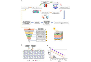 Nature Materials: Anion optimization of bifunctional surface passivation for perovskite solar cells