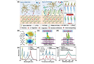 EES: Efficient and stable perovskite cells self-assembled eutectic interlayer eliminates charge accumulation