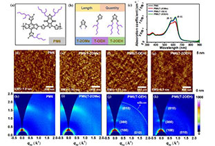 AM: Alkoxythiophene Oriented Fibrillation as a Polymer Donor for Efficient Organic Solar Cells