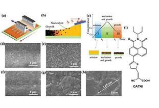 AFM: 14.6% efficiency! Carbon electrode perovskite solar modules