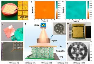 Heavy! New breakthroughs in perovskite sensing materials