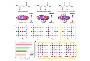 Customized succinic acid derived molecular structure to achieve 25.41% efficient and stable perovskite solar cells