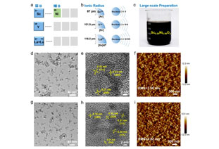 AM: 19.18% record efficiency! Organic solar cells based on NiOx nanoparticle hole transport layer