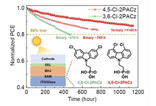AEM: durable organic photovoltaics enabled by selective self-assembled monolayers of morphologically stable pores