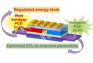 Nano Energy: 21.6%/20.9% efficiency! Wide bandgap/inorganic perovskite energy battery based on new cathode buffer layer