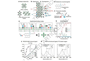 Playing with perovskite nanocrystals