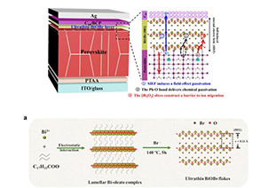 Interfacially embedded BiOBr flakes suppress C60 interfacial non-radiative recombination in inverted perovskite cells