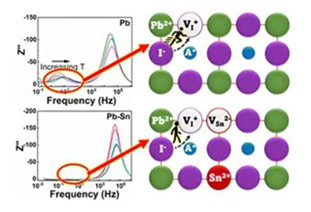 Tin substitution for lead suppresses ion transport in halide perovskite optoelectronics