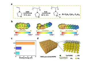 Continuous perovskite photovoltaic Angew