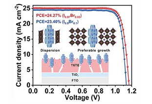 AEM: Columnar liquid crystal assists in-situ dispersion of excess PbI2 crystals to prepare high-efficiency perovskite photovoltaics