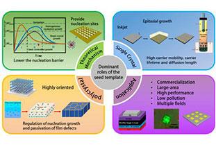 The dominant role of seed templates in driving controlled growth of perovskite crystals