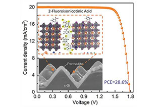 Using trifunctional passivators to modulate efficient and stable perovskite/silicon tandem solar cells