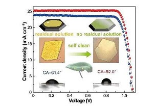 Record efficiency! Perovskite single crystal photovoltaics based on self-cleaning surfaces
