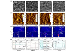 Bimolecular dynamics competition for surface passivation of high-performance perovskite solar cells