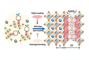 Pure phase 2D/3D tin-based perovskite solar cells