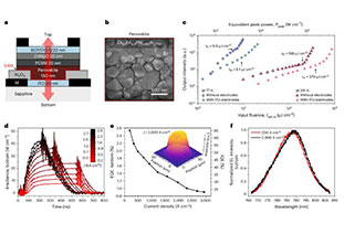 Comprehensive explanation! Electrically excited amplified spontaneous emission in transparent perovskite light-emitting diodes