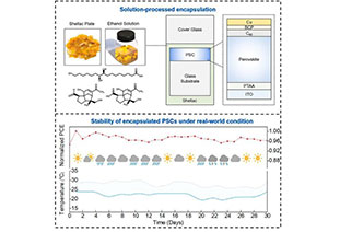 Joule: Another natural molecule! Protecting perovskite photovoltaic modules