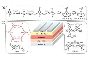 19.3% record efficiency! Amino-functionalized graphyne derivatives improve organic solar cell performance