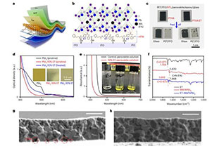 Highly stable flexible perovskite solar modules