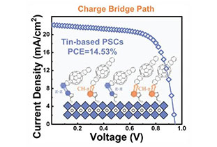 14.53% efficiency! High-performance tin perovskite photovoltaics