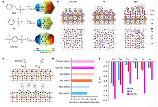 Nature: All-perovskite tandem solar cells with improved grain surface passivation