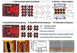 Understanding polymer additive-driven perovskite solar cell self-healing processes from a chemical and physical bonding perspective