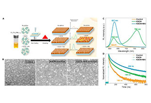 First recommendation! Joule Series: Highlights of Perovskite Devices in 2023