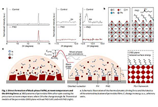 Highlights of Perovskite Devices in 2023 (2)