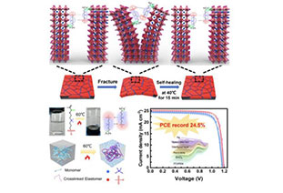 24.5% record efficiency! Flexible perovskite solar cells