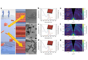 Direct linear polarization electroluminescence from perovskite nanosheet superlattices