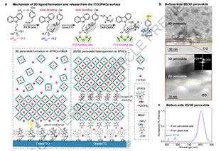 25.6% efficiency! Photothermally stable inverted perovskite solar cells!