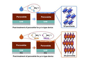 Size adjustment of perovskite interface from 1D/3D to 2D/3D