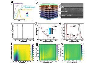 Perovskite photodetectors are used in anti-interference optical communications