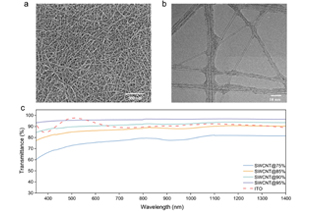 High-performance bifacial perovskite solar cells driven by single-walled carbon nanotubes
